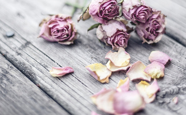 TIPS FOR DRYING & PRESERVING FLOWERS FOR REMEMBRANCE JEWELRY +