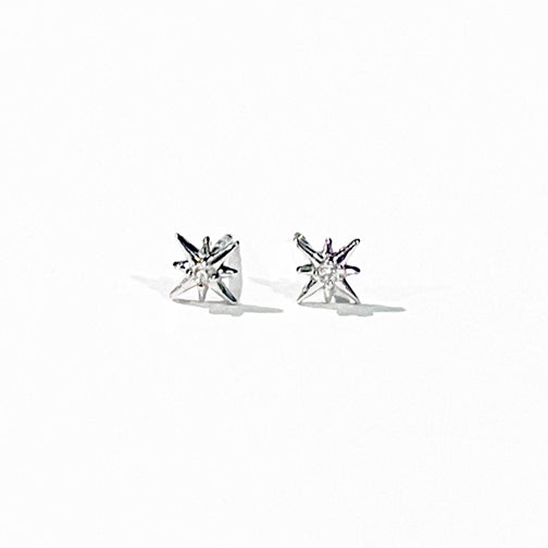 Tiny Studs Earrings | Starburst Stud Earrings | Tiny Stud Earrings | FENNO FASHION